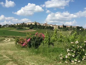 Cella Monte, een parel in Monferrato
