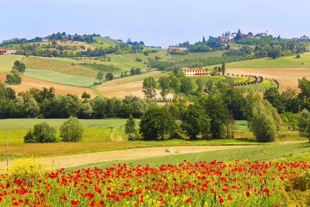 wijn monferrato piemonte